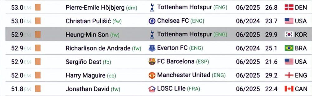 国产精品久久久久网站