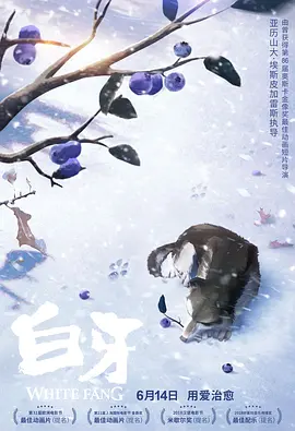 老湿机视频