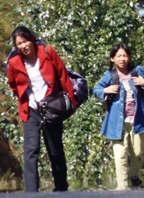 久草成人在线