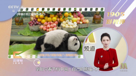 国产精品久久久久久免费播放
